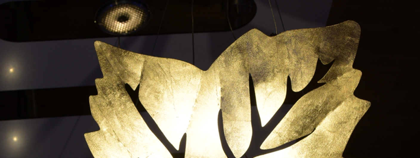 NOVA Assoziation 1408x531 Das ist NOVA